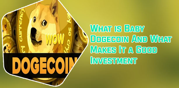 Baby dogecoin available