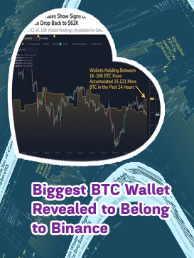 Biggest bitcoin wallets