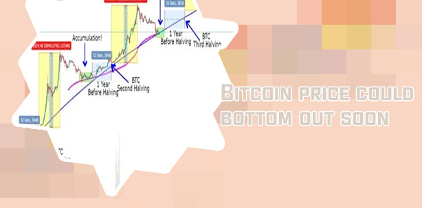 Bitcoin halving price prediction