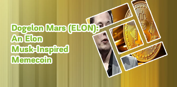 Elon cryptocurrency price