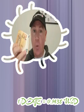 How much does 1 dogecoin cost