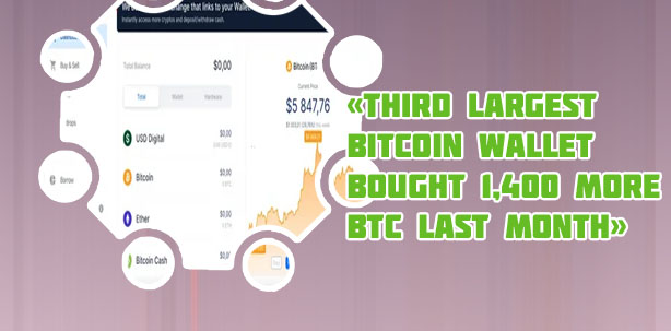 Largest bitcoin wallet
