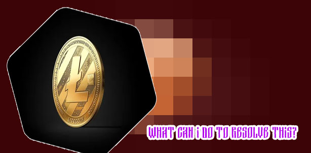 What is the price of litecoin today
